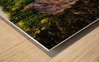 Taughannock Falls the heart of the finger lakes Wood print