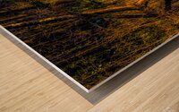Martin Lake Sunset Branch Reflections Wood print
