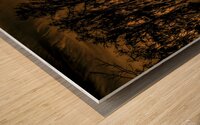 Martin Lake Louisiana the Value of Gold Wood print