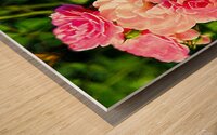 Soft Pink Rose Petals Wood print