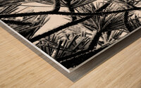 Snowy Conifer Wood print