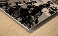 Meadow Wood print