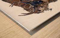 Beautiful Deer  Wood print
