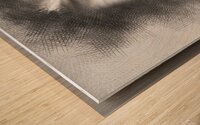 ggggpprrdsads4354899 Wood print