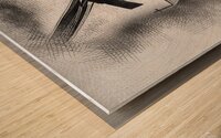 hhhhzeteds4354899 Wood print