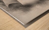 erettsads4354899 Wood print