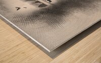 lllmnpprrdsads4354899 Wood print