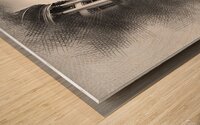 ccssss755 Wood print
