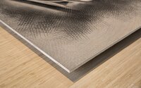 sdsnxxx7755 Wood print