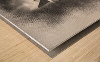 vvvvvwwsads4354899 Wood print