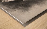 aagg4434755 Wood print