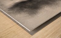 iiioooozeteds4354899 Wood print