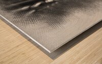 kljj854755 Wood print