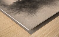 wwwwsads4354899 Wood print