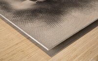 xxxzzeteds4354899 Wood print