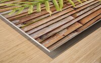 Hawaiian Fern Wood print