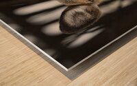 Maman surveille Wood print