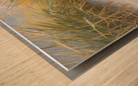 2023 11 27 09 02 43 Wood print