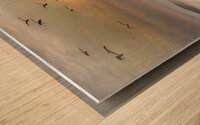2023 11 27 07 57 38 Wood print