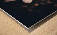 Lady Tulip - Artistic Wood print