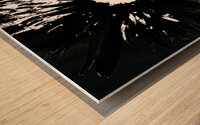 Dark Distressed Black and White Daisy on a Dark Distressed Background Wood print