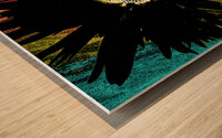 Dark Daisy on Colourful Background Wood print