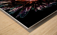 Dark Burgundy Daisy Flower on a Dark Abstract Background Wood print