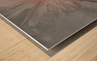 Pink Abstract Daisy Flower Centre on a Grey Abstract Background Wood print