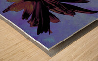 Abstract Dark Pink Daisy Flower on a Bluey Pink Abstract Background Wood print