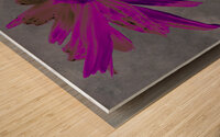 Deepest Pink Abstract Daisy Flower on a Grey Abstract Background Wood print