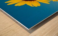 Sunflowers and Blue Sky Wood print
