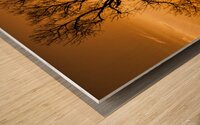 A New Dawn Wood print