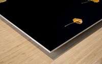 Floating Leaves Wood print
