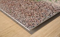 Parched Wood print
