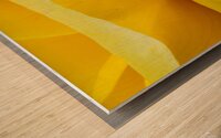 Edge of a Rose Wood print