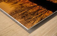 Florida Sunrise Wood print