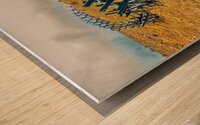 Fence Line Wood print