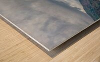 Beluga Point Wood print