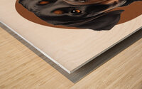 Rottweiler Informative Poster Wood print