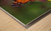  Painted Lady Butterfly - Full of Color Wood print