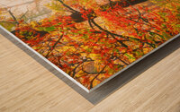 Misty Morning in the Forest Wood print