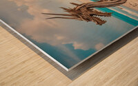 DRIFTWOOD DRAGON XII Wood print