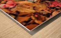 Tufted Titmouse in Autumn Foliage Wood print