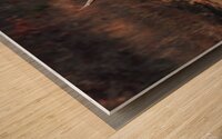 Bald Eagle - The Descent Wood print
