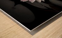 Water Lily - A Touch of Color Wood print