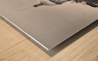 Marche Bonsecours Wood print