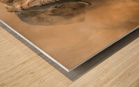 Desertstorm Wood print
