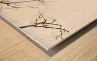 Solitary Contemplation Wood print