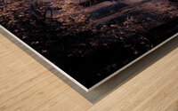 Buck En Pointe Wood print