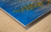 Reflection Wood print